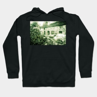 Preserving the past#2 Hoodie